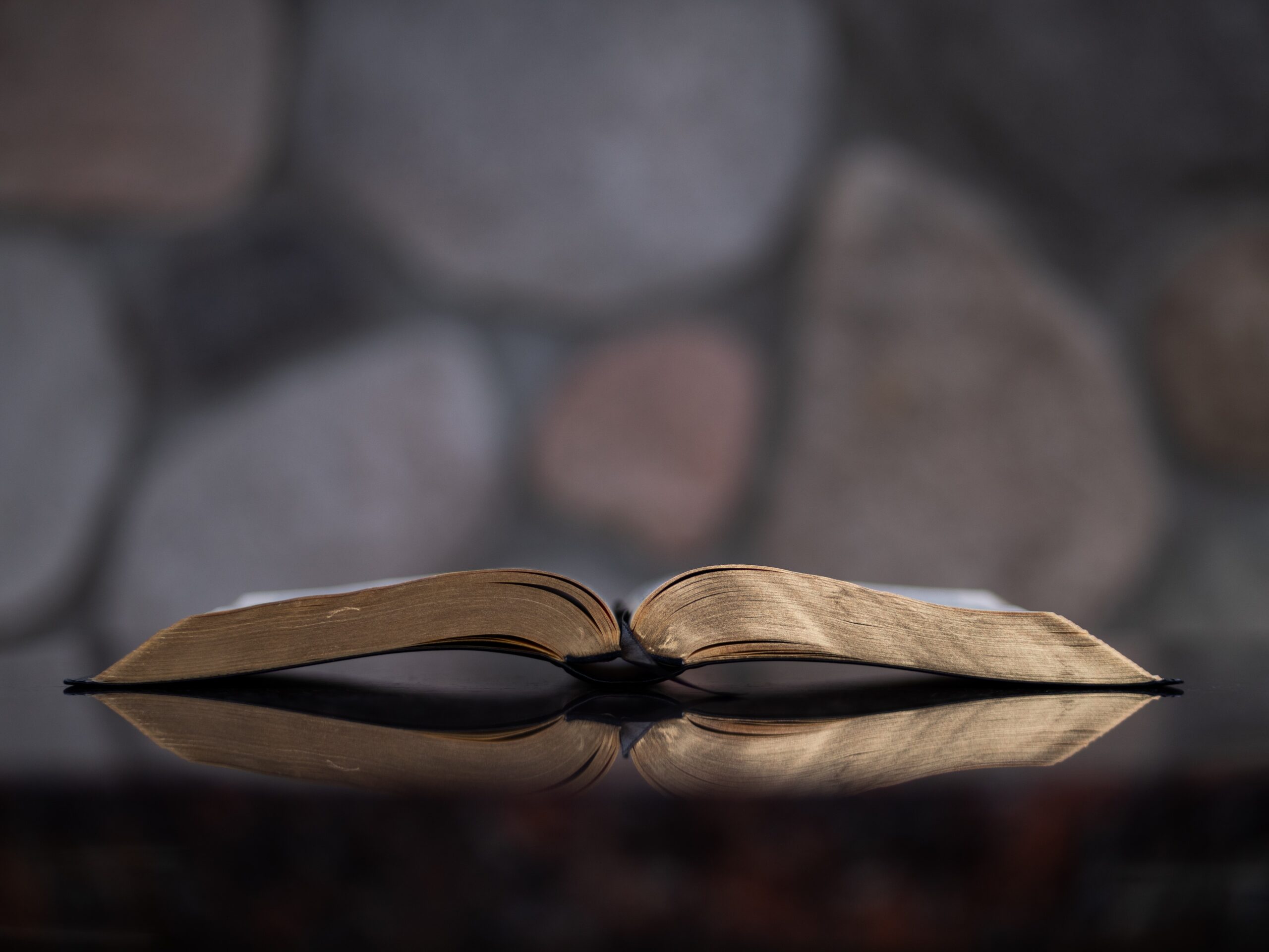 there are a ton of great gift ideas for book lovers
