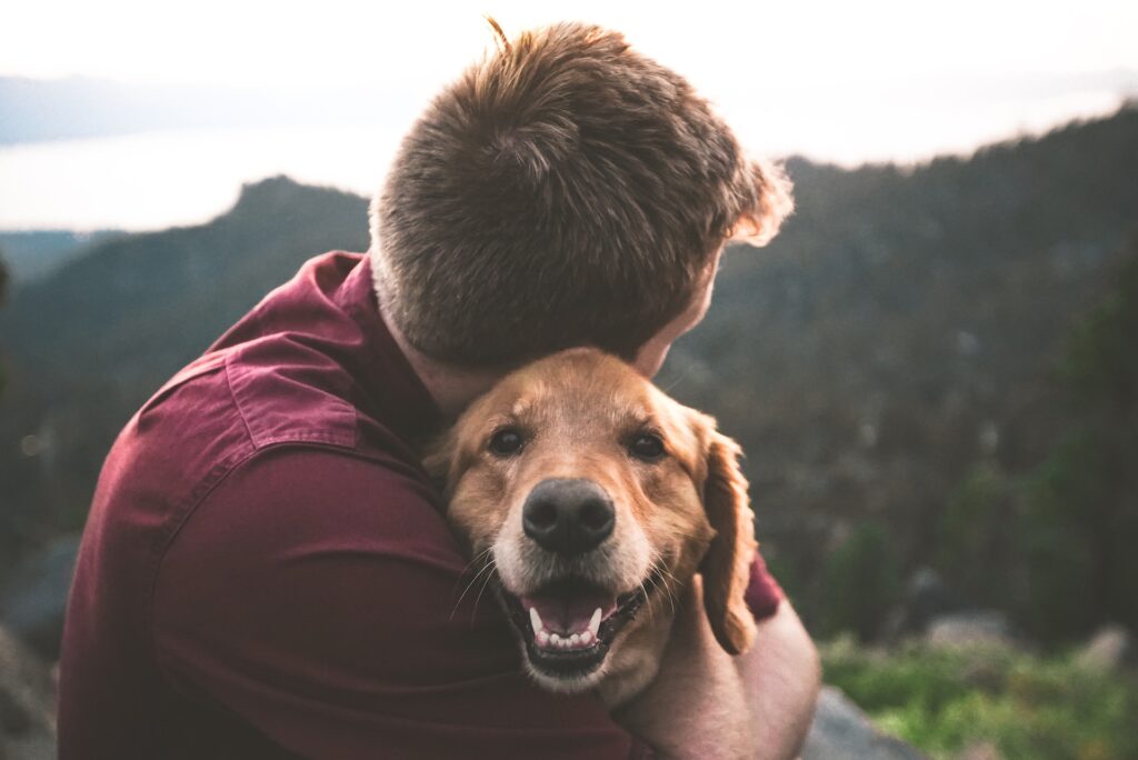 offer pet stipends as a return to office incentive and perk