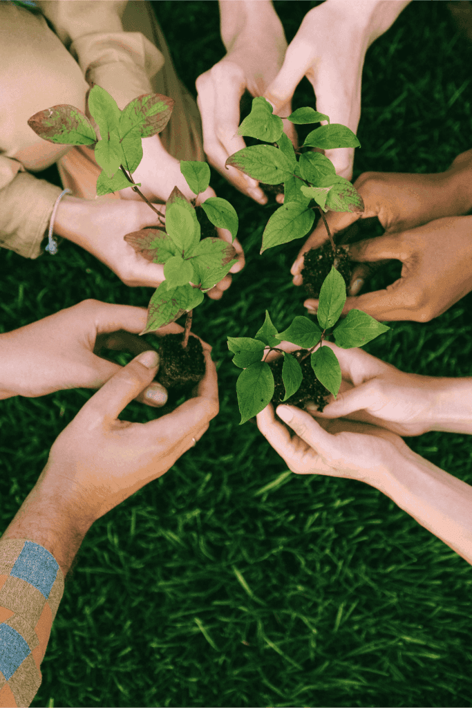 People holding seedlings together for environmental team building activity