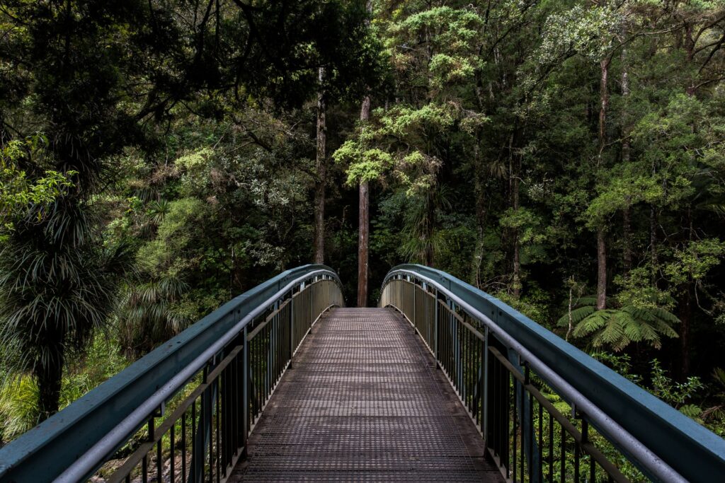 a bridge in a forest surrounded by beautiful trees and nature