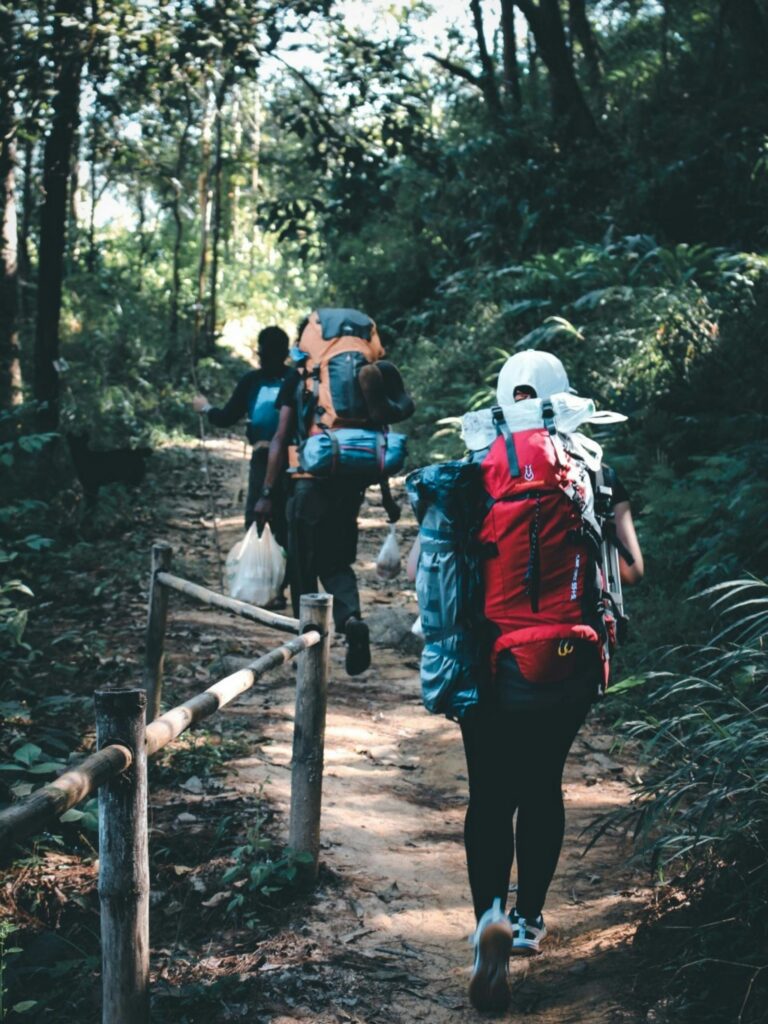 Group of hikers with backpacks walking along a forest trail – adventure travel, outdoor exploration, and nature trekking concept.
