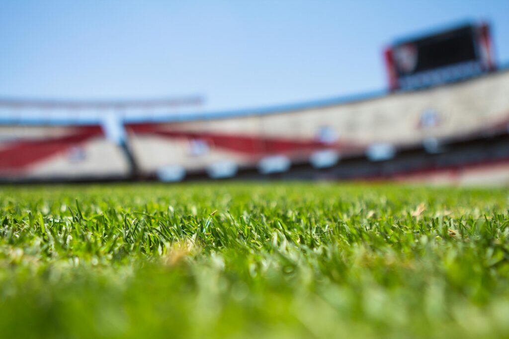 Close-up of fresh green grass on a stadium field with blurred stands and scoreboard in the background.
