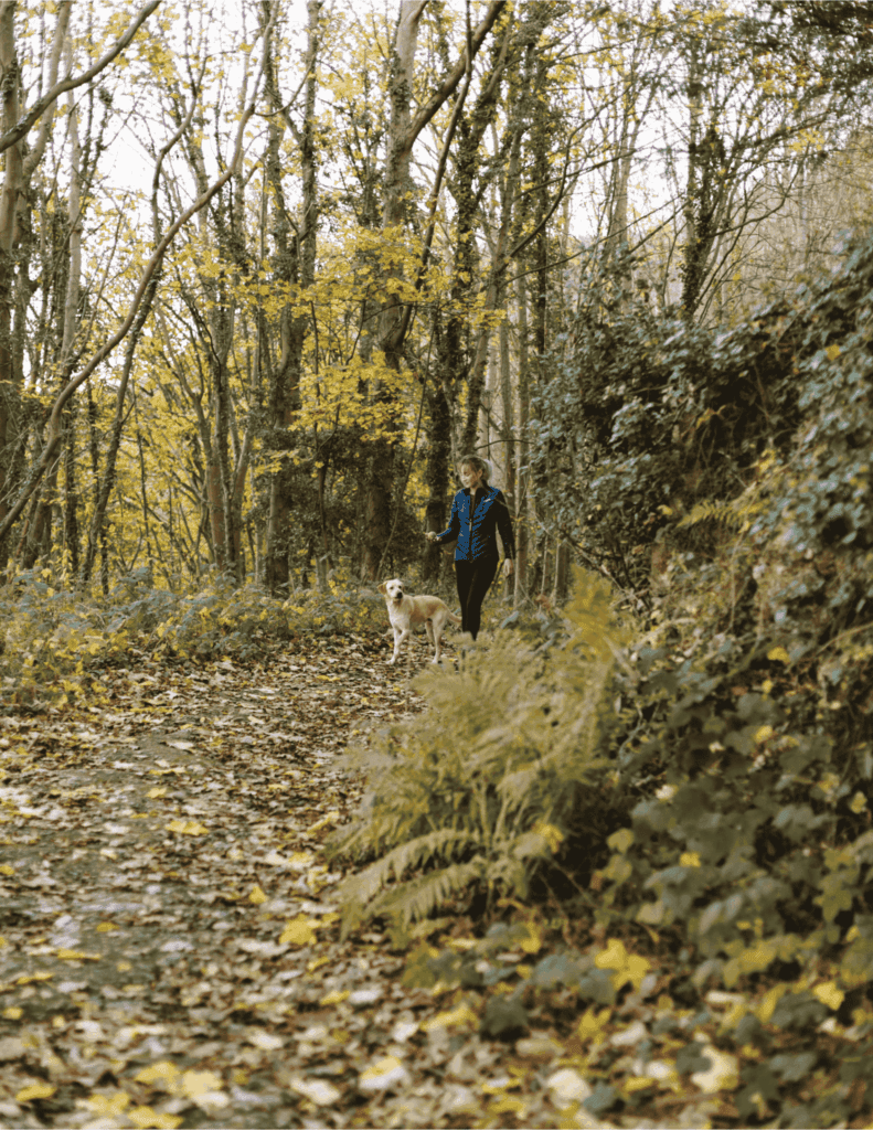 A person walks their dog along a leaf-covered forest trail in autumn.