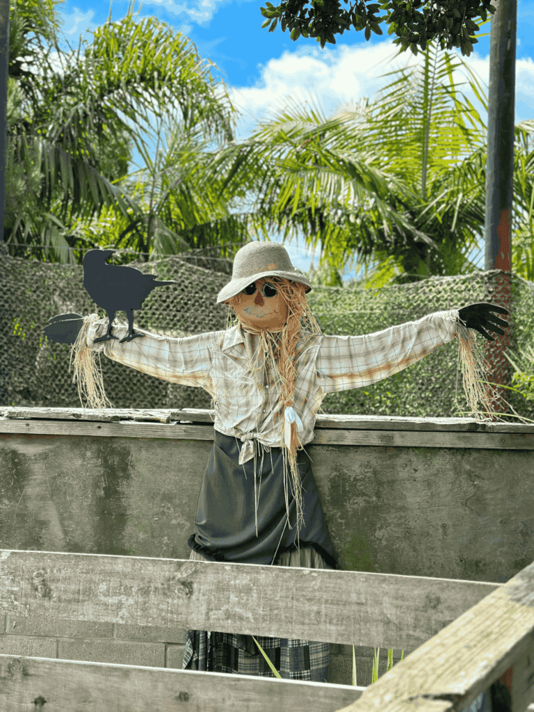 A scarecrow dressed in a plaid shirt, skirt, and sunhat stands with outstretched arms, holding a cutout crow, set against a backdrop of palm trees and a bright blue sky