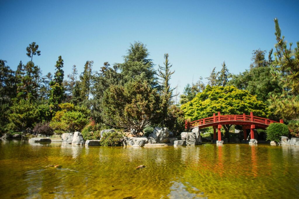 a red bridge over water in The Japanese Friendship Garden in san jose california 