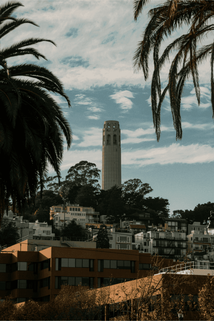 Coit Tower in San Francisco framed by palm trees with hillside houses and buildings below under a partly cloudy sky.